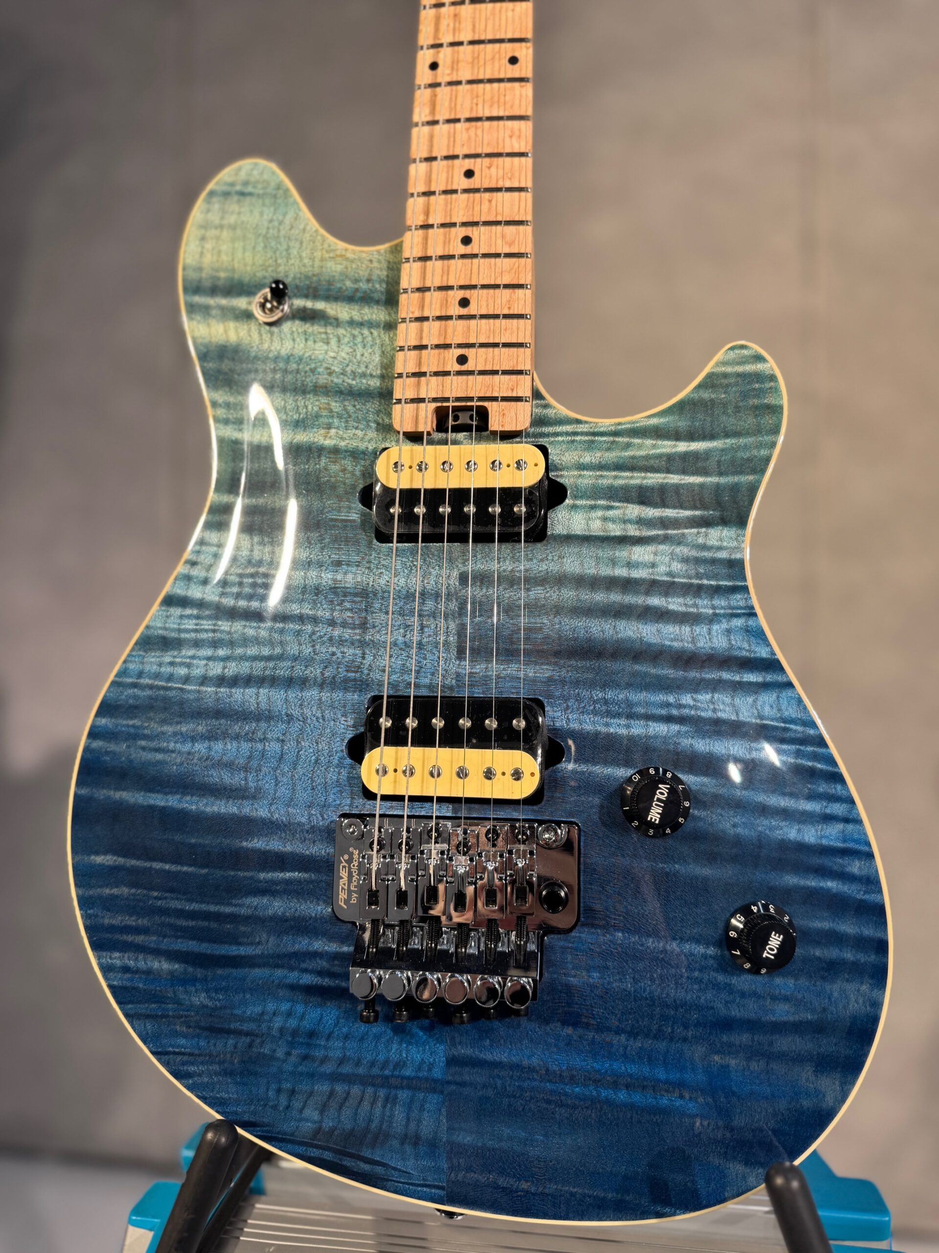 Peavey hp2 純正ハードケース付き Peavey HP-2 Deep Ocean【イオンモール大和郡山店】 | 天理楽器