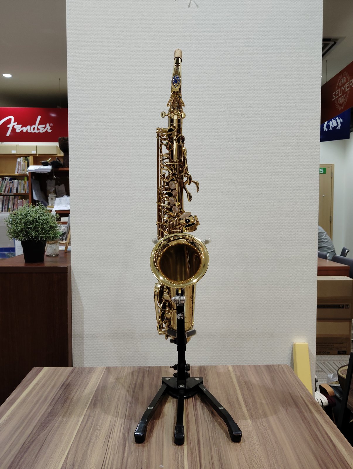 シリーズII アルト 正面